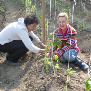 Les potagères des Jardins du Nant